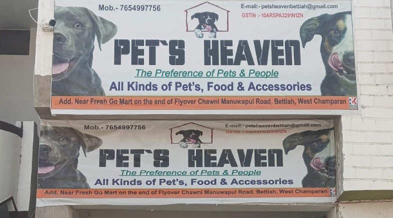 Pet's Heaven About