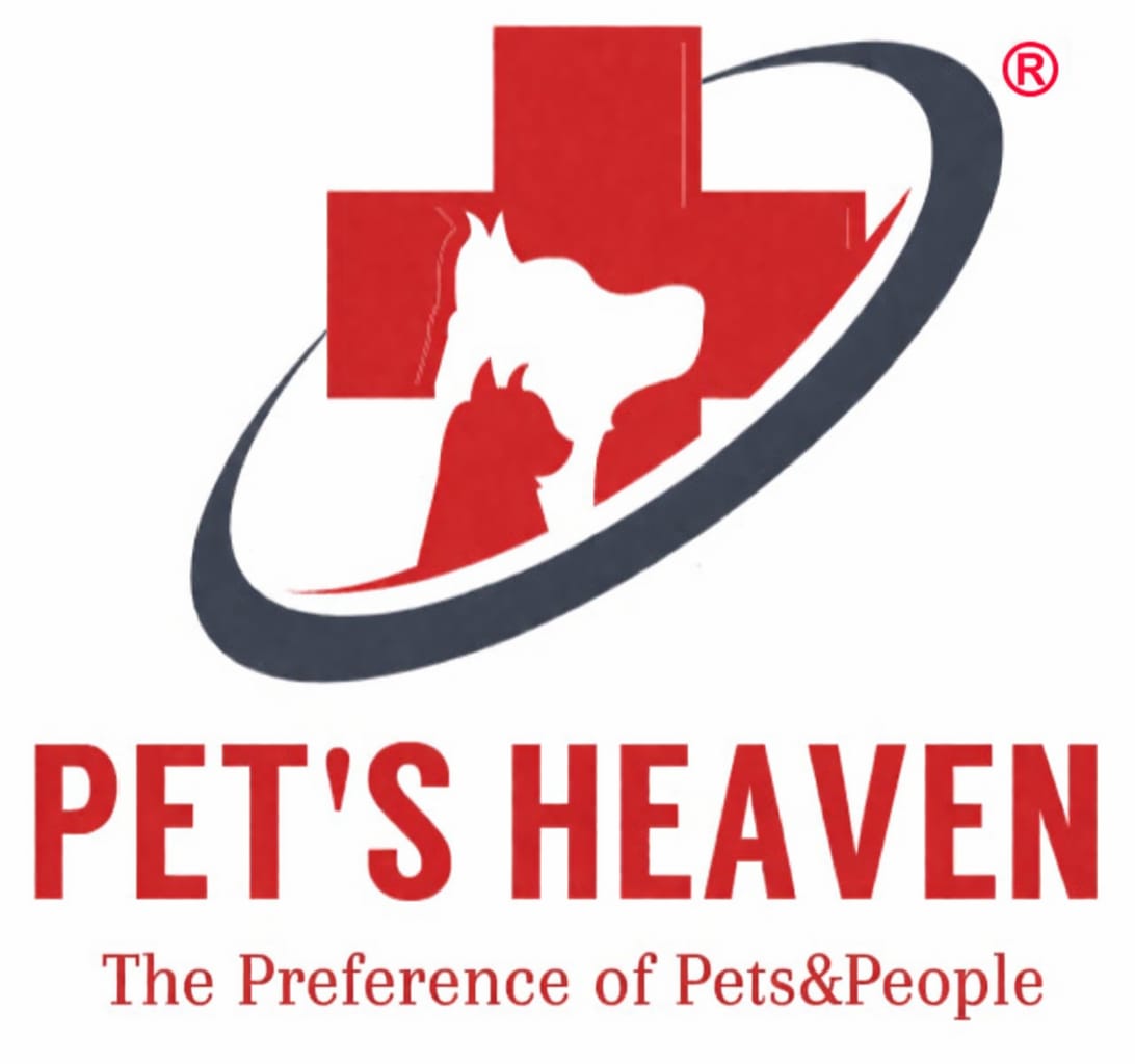 Pet's Heaven