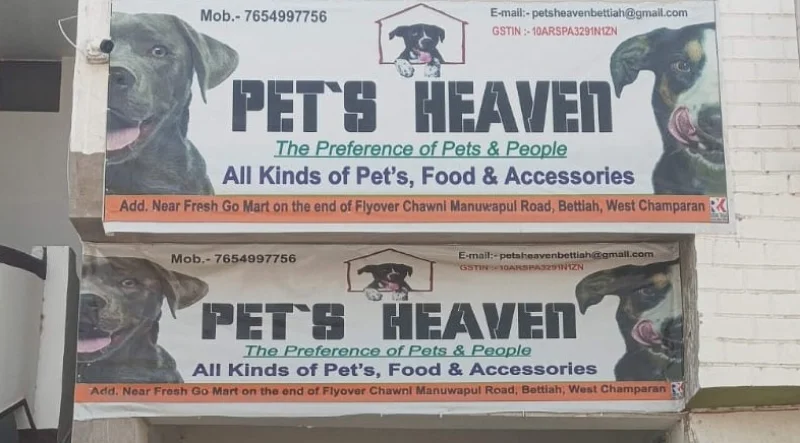 🎉 Great News! Pet's Heaven Website is Now Fully Operational 🚀