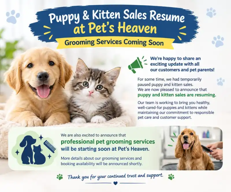 Important Update from Pet’s Heaven