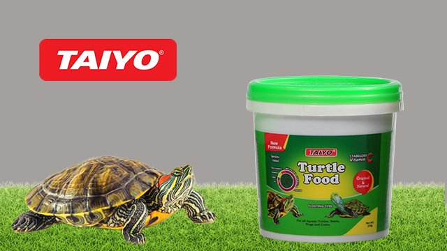 Taiyo Turtle Food – 45 g (Complete Nutrition for Healthy Turtles)