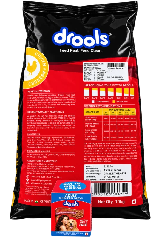 Drools Adult Nutrition – 10 kg Chicken & Egg