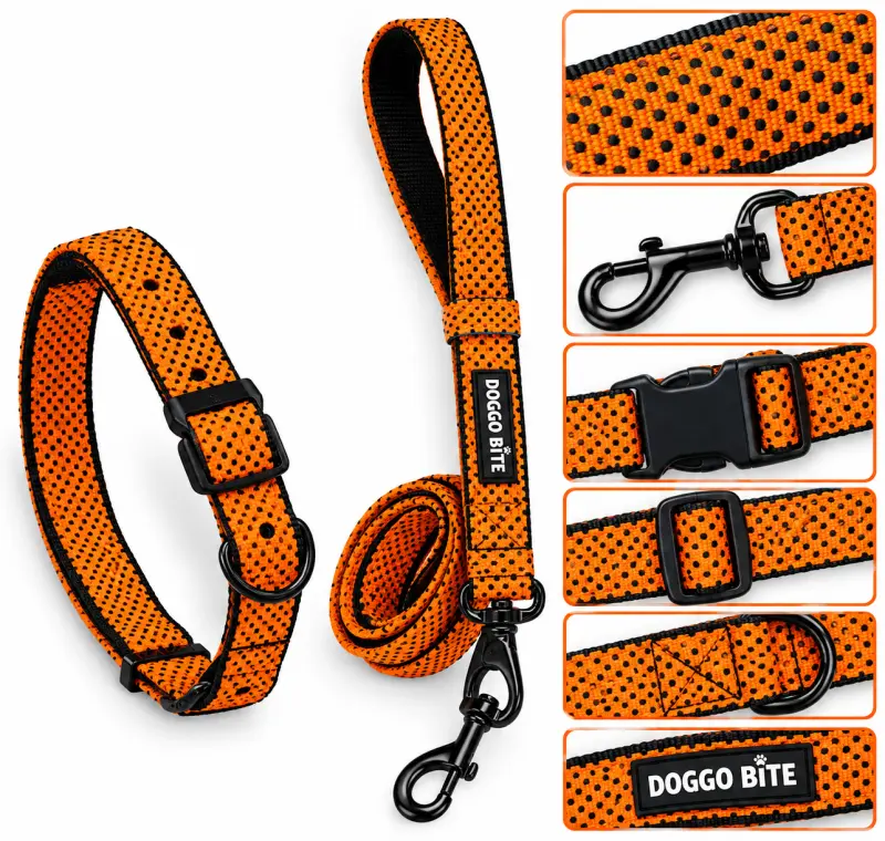 Doggo Bite Collar Set 1.5inch - Orange