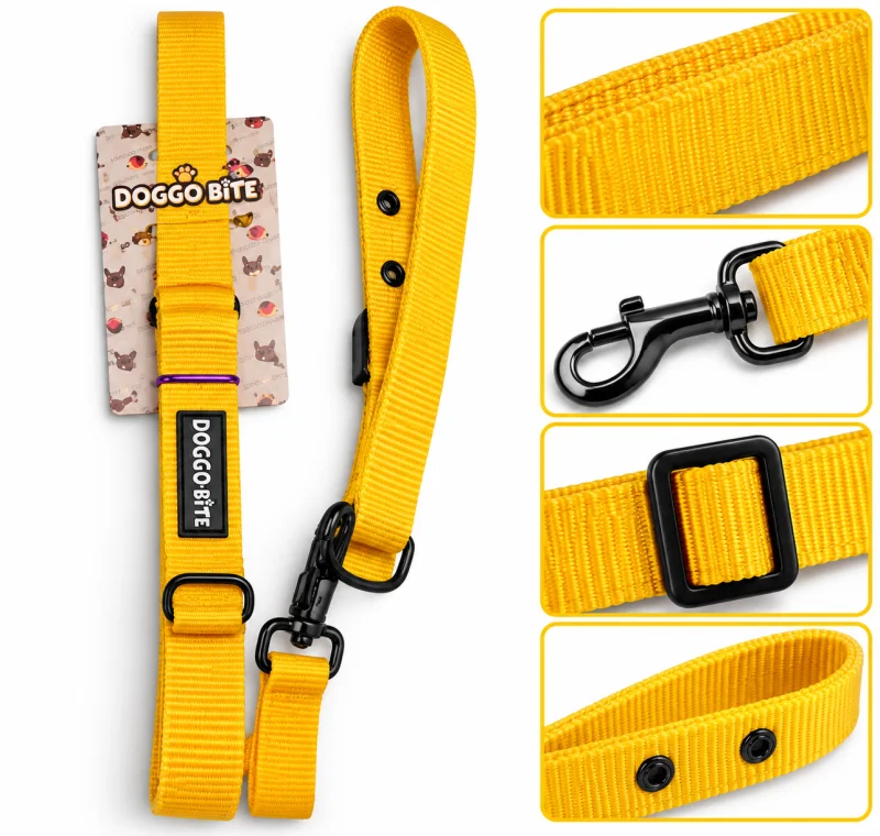 Doggo Bite Collar Set 1.25inch - Yellow - Buy Online at Pets Heaven