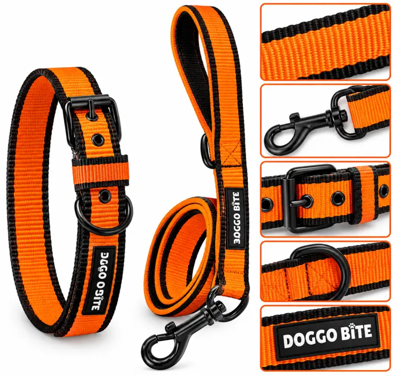 Doggo Bite Collar Set 1.25inch - Orange - Buy Online at Pets Heaven