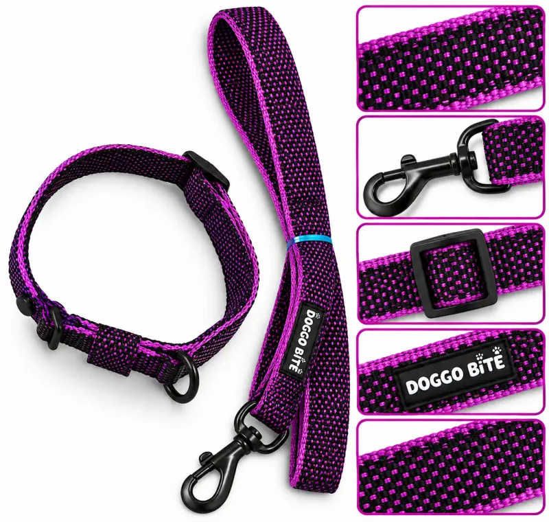 Doggo Bite Collar Set 1.25inch - purple - Buy Online at Pets Heaven