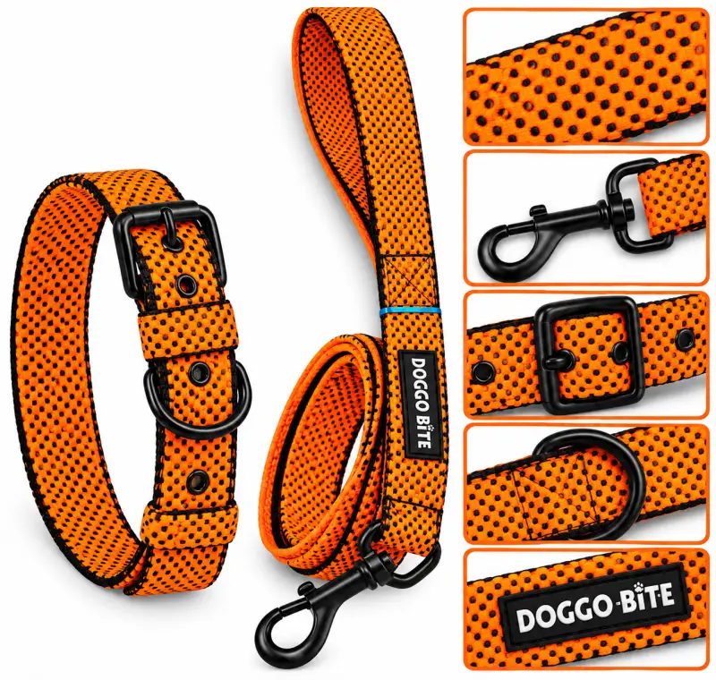 Doggo Bite Collar Set 1.5inch - Orange - Buy Online at Pets Heaven
