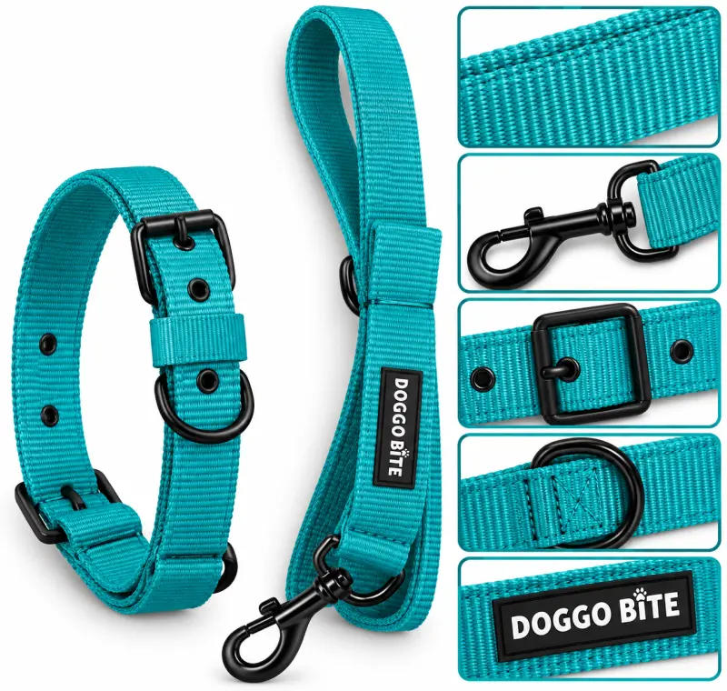 Doggo Bite Collar Set 1.5inch - Nylon - Buy Online at Pets Heaven