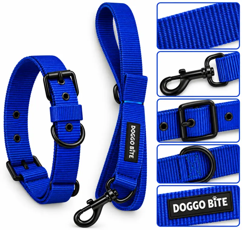Doggo Bite Collar Set 1.5inch - Blue - Buy Online at Pets Heaven