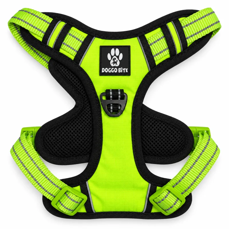 DB Reflective Padded Dog Harness – Green, M - Buy Online at Pets Heaven