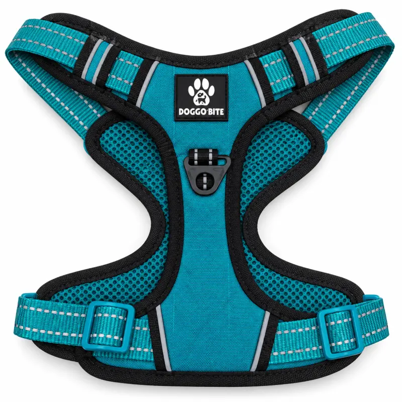 DB Reflective Padded Dog HarnessTeal Blue, L - Buy Online at Pets Heaven