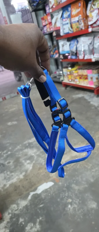 Harness Set padded 15mm - Buy Online at Pets Heaven