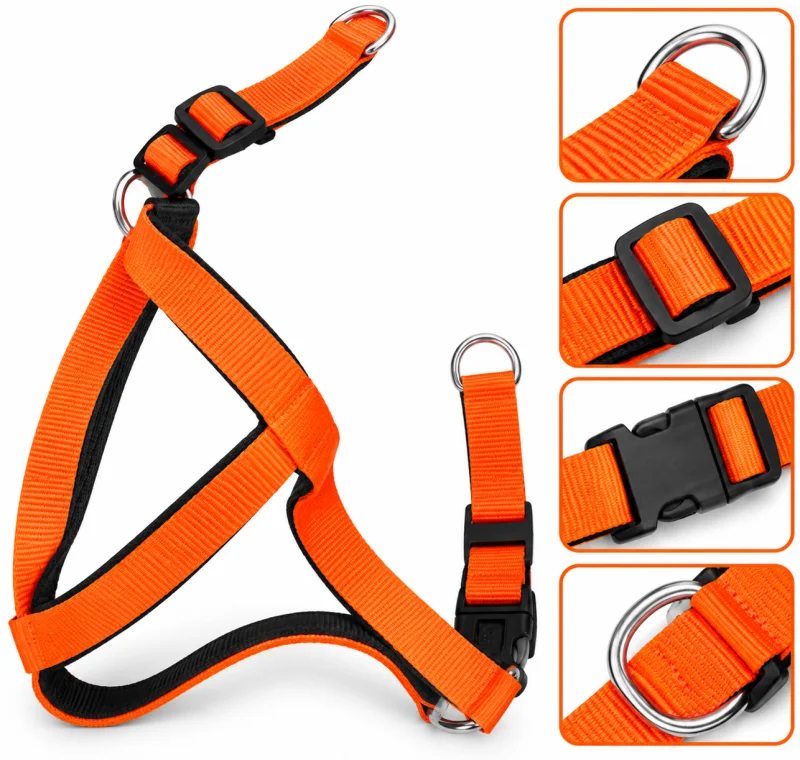 Nylon Body Belt With Imp Pad - Orange - Buy Online at Pets Heaven