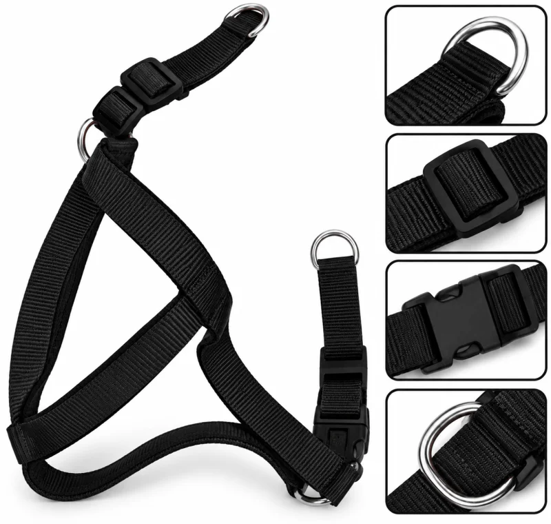 Nylon Body Belt With Imp Pad - Black - Buy Online at Pets Heaven