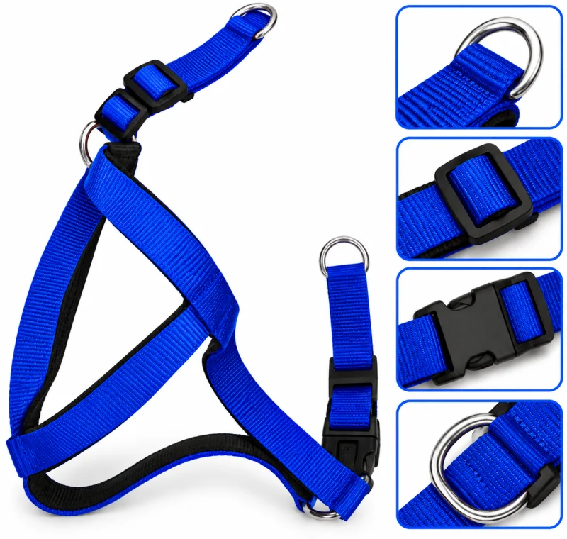 Nylon Body Belt With Imp Pad - Blue - Buy Online at Pets Heaven