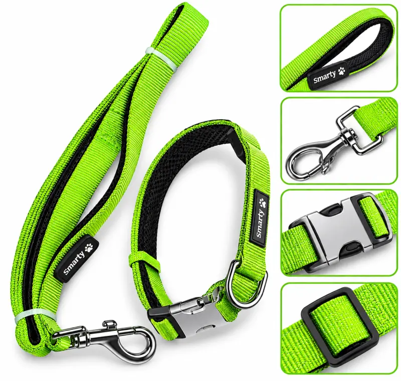 Padded Collar Set Green - 20MM Smarty Pet - Buy Online at Pets Heaven