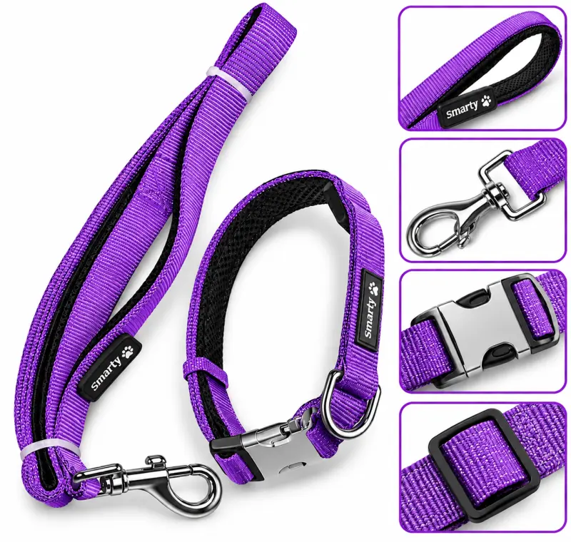 Padded Collar Set Purple - 20MM Smarty Pet - Buy Online at Pets Heaven