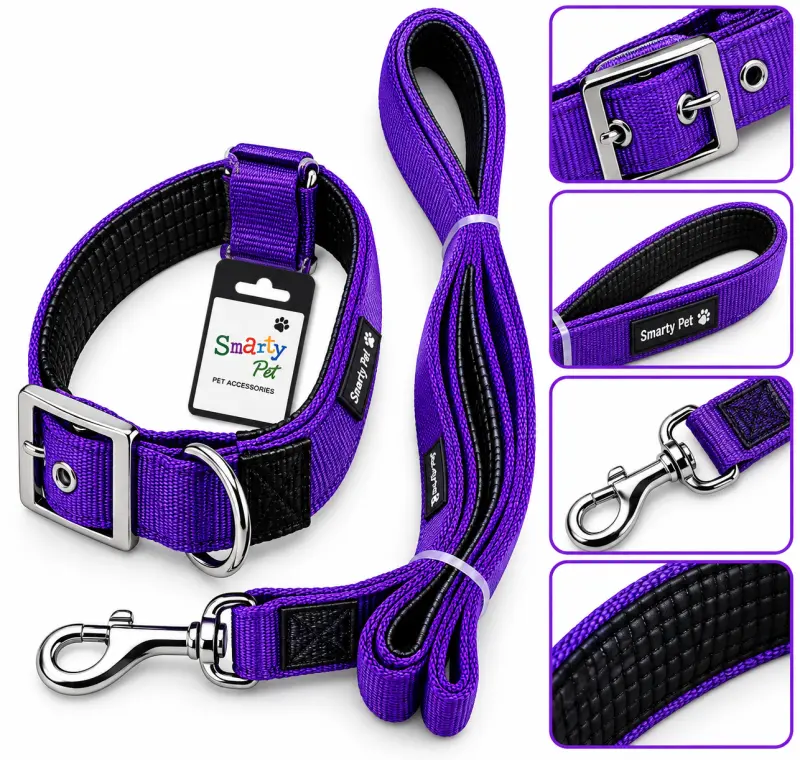 Padded Collar Set Purple - 32MM Smarty Pet - Buy Online at Pets Heaven