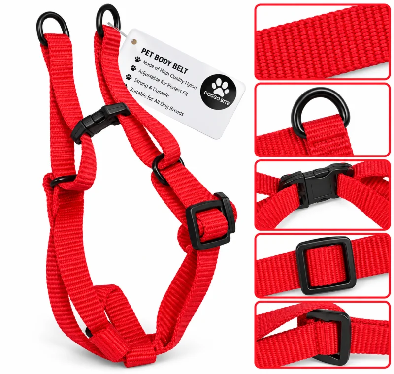 PP Body Belt - 0.5inch Red - Buy Online at Pets Heaven