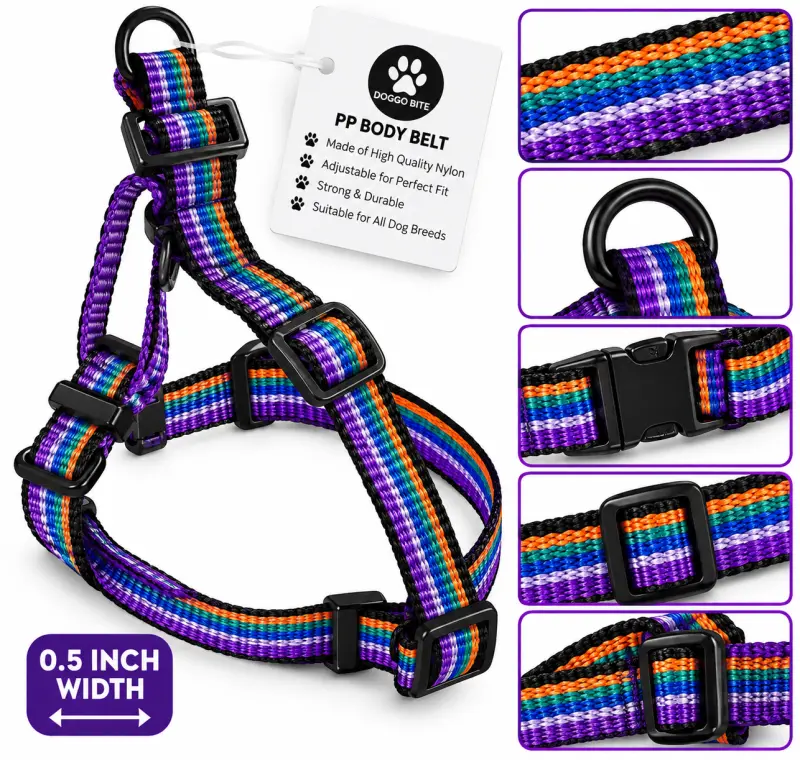 PP Body Belt - 0.5inch Multicolour - Buy Online at Pets Heaven