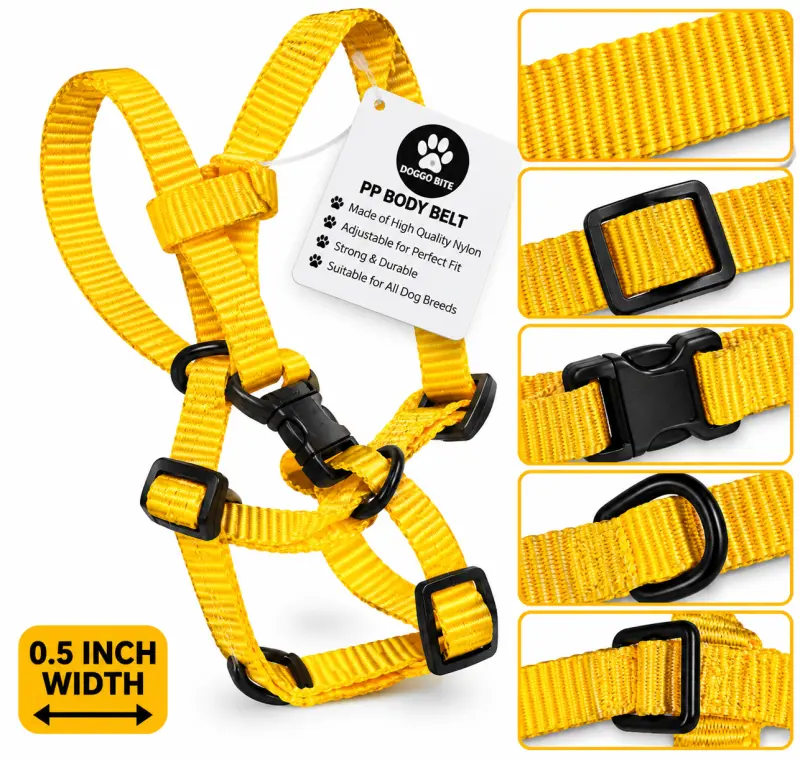 PP Body Belt - 0.5inch Yellow - Buy Online at Pets Heaven