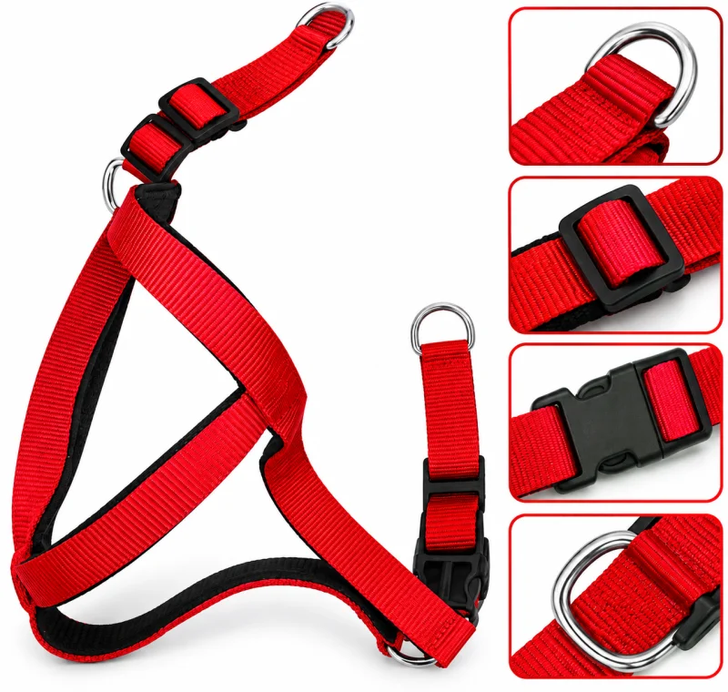 PP Body Belt Wth Imported Pad Red - Buy Online at Pets Heaven