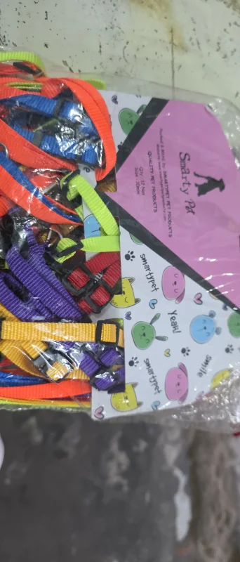 Smarty Pet Collar Set 10MM Single Colour