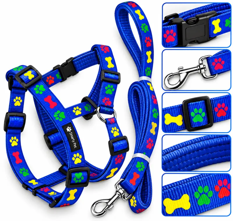 SP Padded H Set - 20MM Blue - Buy Online at Pets Heaven