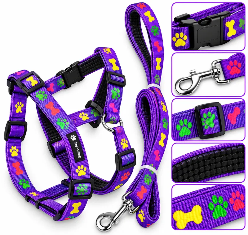 SP Padded H Set - 20MM Purple - Buy Online at Pets Heaven