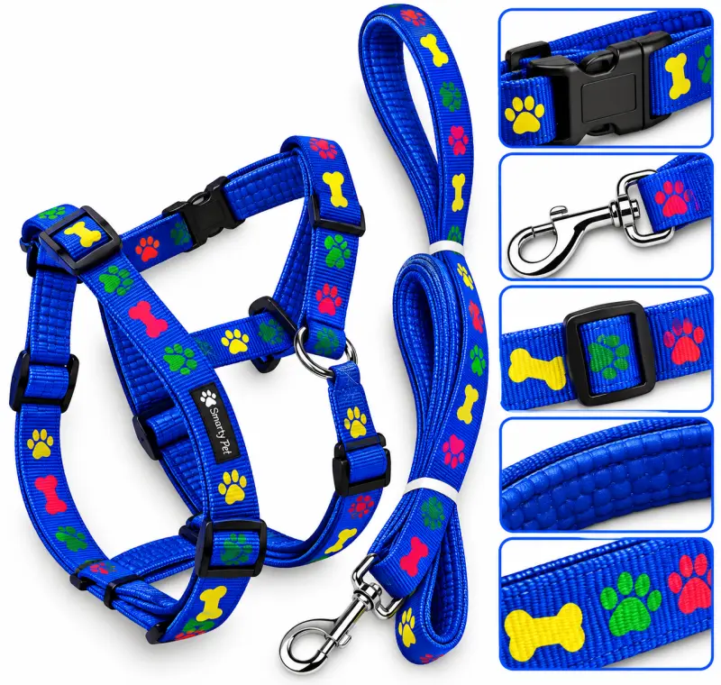 SP Padded H Set - 25MM Blue - Buy Online at Pets Heaven