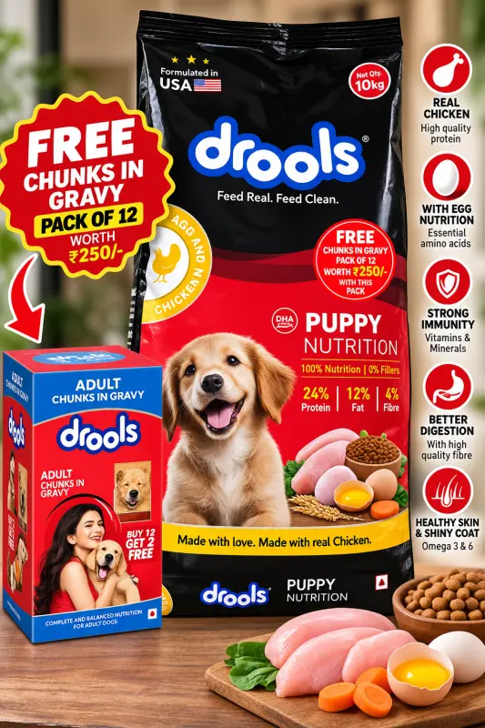 Drools Puppy Nutrition – 10 kg | Chicken & Egg